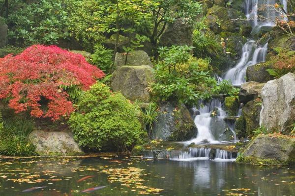Paulson, Don 아티스트의 Oregon, Portland Waterfall flows into koi pond작품입니다.